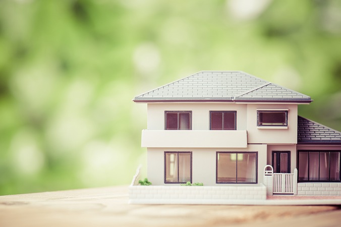 家・背後に植物